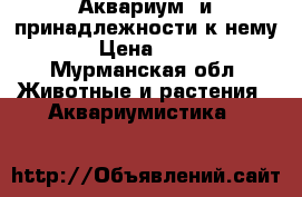 Аквариум  и принадлежности к нему  › Цена ­ 500 - Мурманская обл. Животные и растения » Аквариумистика   